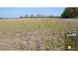 Property photo 11 - Land Auction 1035 Acres In 16 tracts - Farm Land - Sullivan Co. Indiana & Clark Co., Illinois